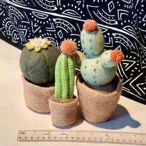 Cute Felted Cactus Set